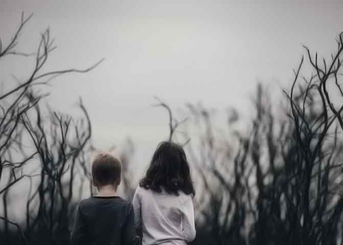 纯净版无广告的器测压文章